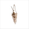 Support De Nourriture Pour Oiseaux Porte Snack Vadigran