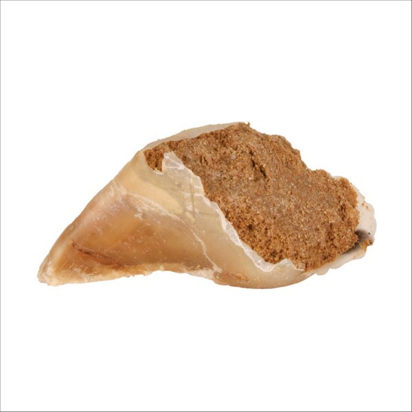 Friandises Pour Chien Sabot A Mâcher Trixie