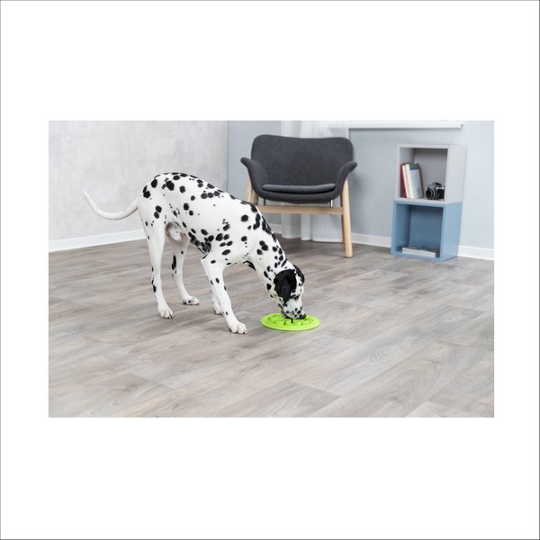 Set De Table Slow Feed Pour Chien Trixie