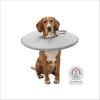 Collerette De Protection Pour Chien Trixie