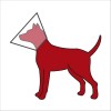 Collerette De Protection Pour Chiens Trixie
