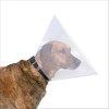 Collerette De Protection Pour Chiens Trixie