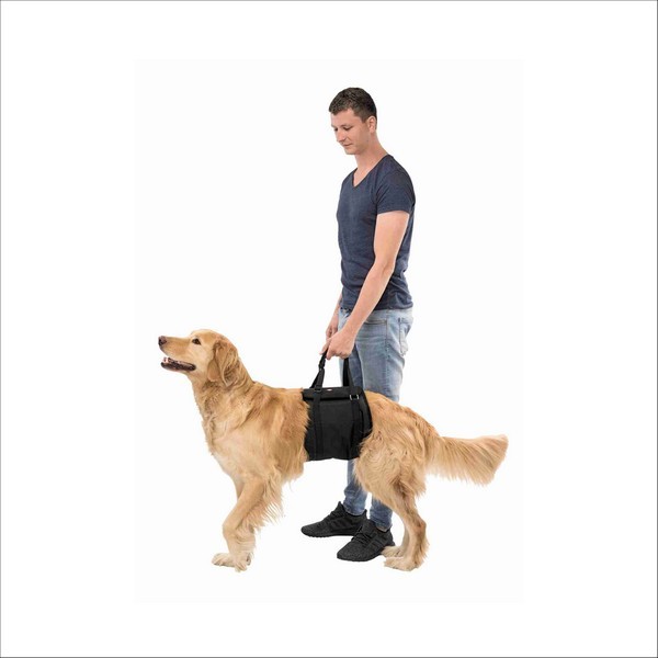 Aide Au Levage Pour Chiens Trixie