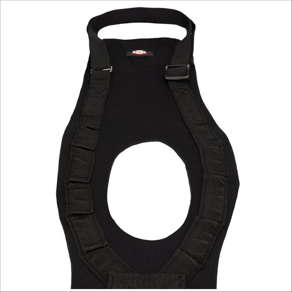 Aide A La Marche Pour Chiens Trixie