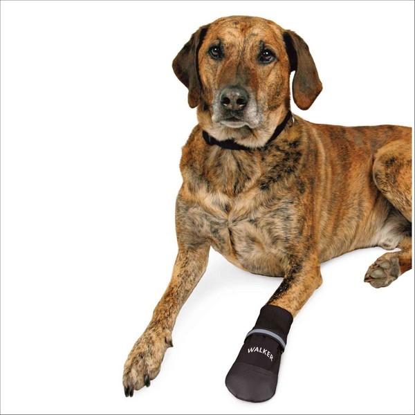 Bottes Confort De Protection Walker Care Comfort Pour Chiens Trixie