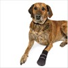Bottes Confort De Protection Walker Care Comfort Pour Chiens Trixie
