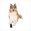 Bottes Confort De Protection Walker Care Comfort Pour Chiens Trixie