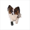 Bottes De Protection Walker Care Pour Chiens Trixie