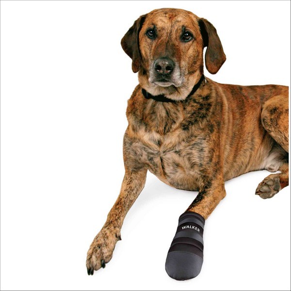 Bottes De Protection Walker Care Pour Chiens Trixie
