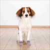 Chaussettes Pour Chiens Trixie