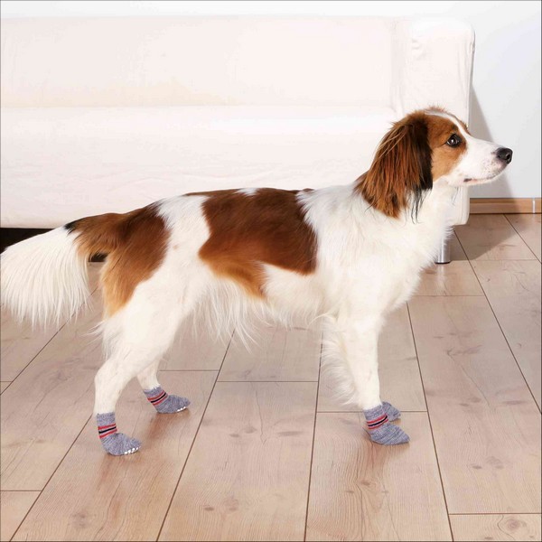 Chaussettes Pour Chiens Trixie