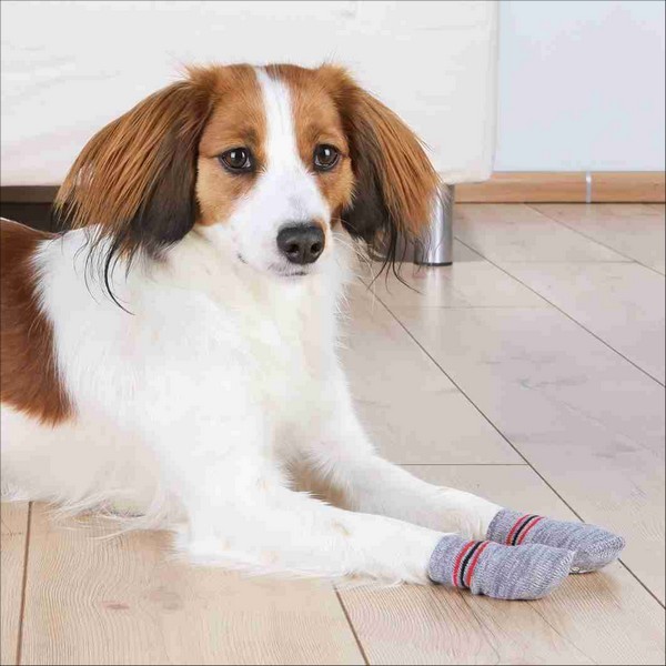 Chaussettes Pour Chiens Trixie