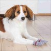 Chaussettes Pour Chiens Trixie