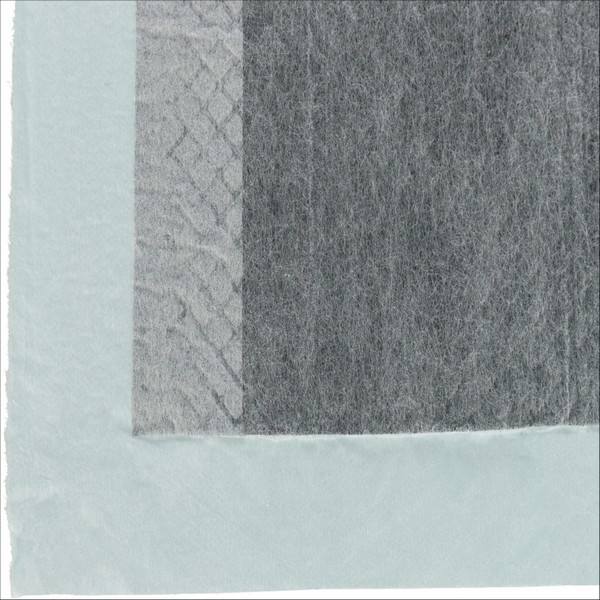 Tapis Éducateur Nappy Avec Charbon Actif Pour Chiens Trixie