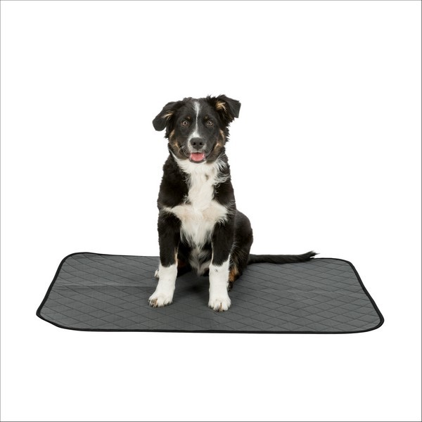 Tapis Éducateur Nappy Wash Pour Chiens Trixie