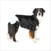 Couches Pour Chiens Femelles Trixie