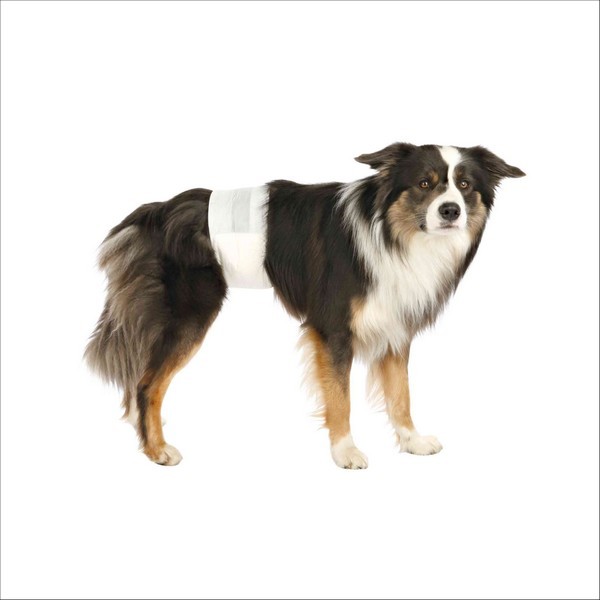 Couches Pour Chiens Mâles Trixie