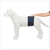 Couches Lavables Pour Chiens Mâles Trixie