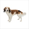 Slip De Protection Pour Chiens Trixie