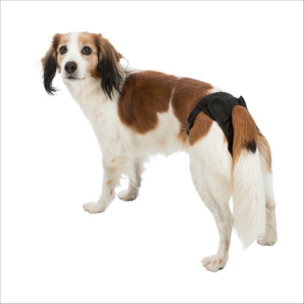 Slip De Protection Pour Chiens Trixie