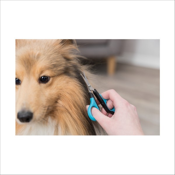 Ciseaux Face & Pattes Pour Chien Trixie