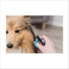 Ciseaux Face & Pattes Pour Chien Trixie