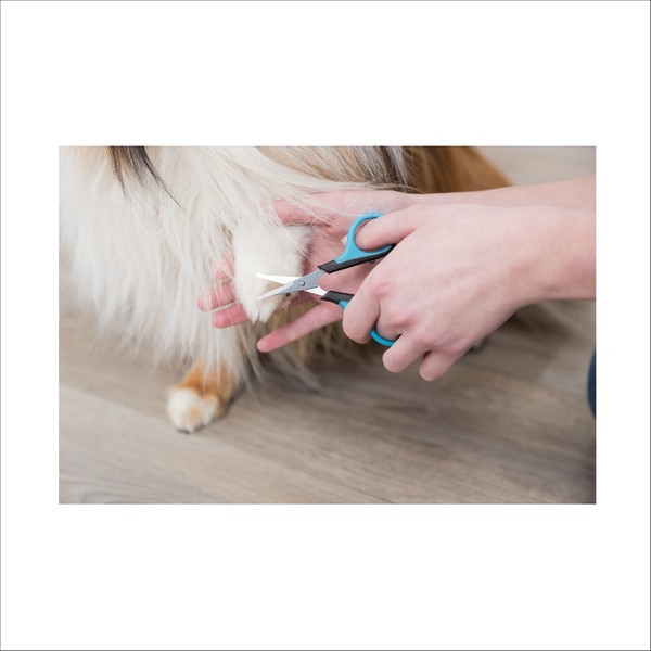 Ciseaux Face & Pattes Pour Chien Trixie