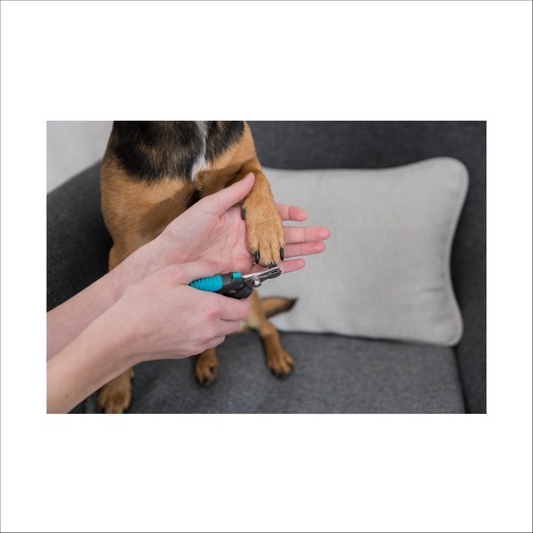 Coupe Ongles Pour Chien Trixie