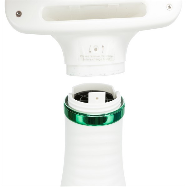 Brosse A Air Chaud Pour Chien Trixie