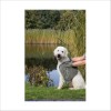 Serviette Avec Pochettes Pour Les Mains Pour Chien Trixie