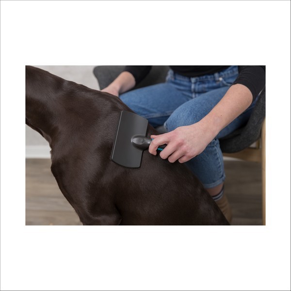 Brosse Souple Pour Chien Trixie
