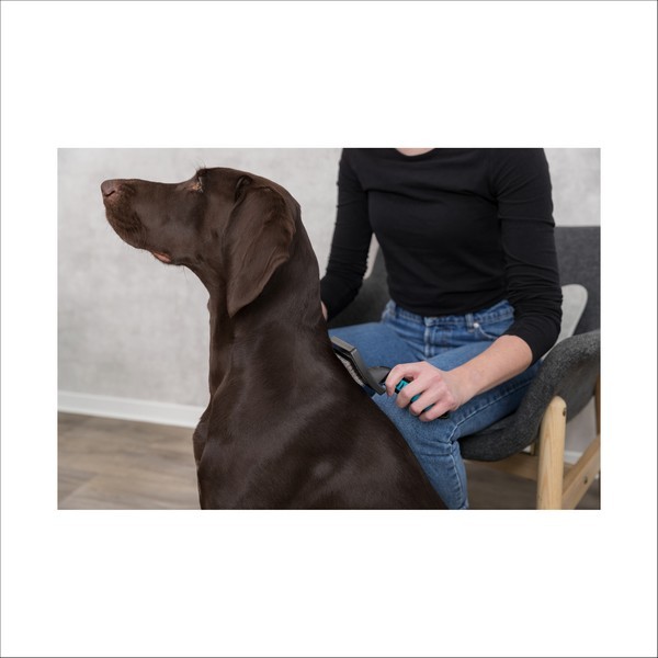 Brosse Souple Pour Chien Trixie