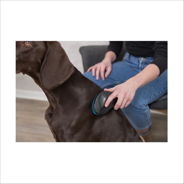 Brosse Douce Pour Chien Trixie