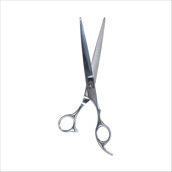 Ciseaux Professionnels De Tonte Pour Chien Trixie