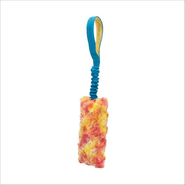 Bungee Fun Pour Chien Trixie