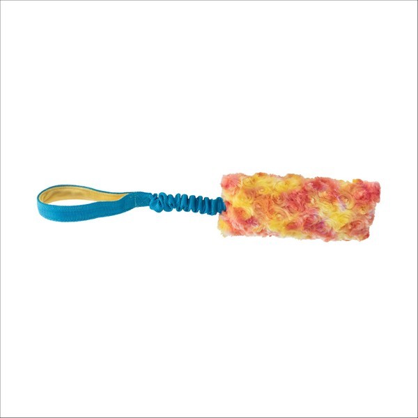 Bungee Fun Pour Chien Trixie