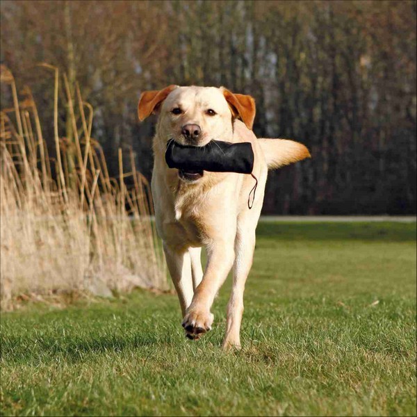 Dummy De Dressage Pour Chien Trixie