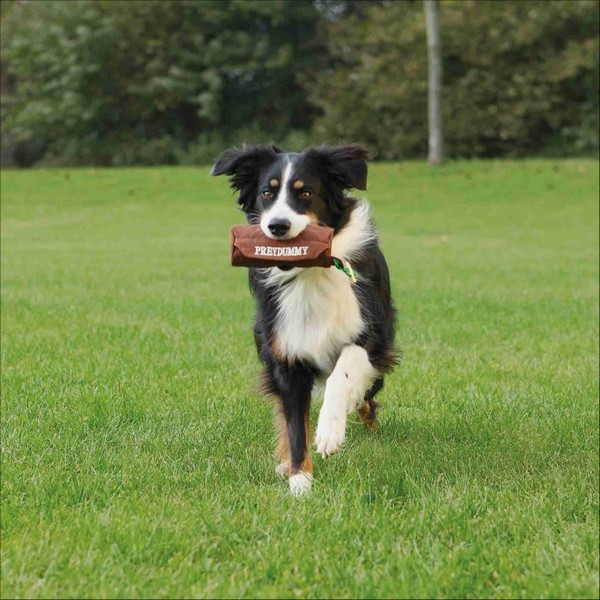 Preydummy Pour Chien Trixie