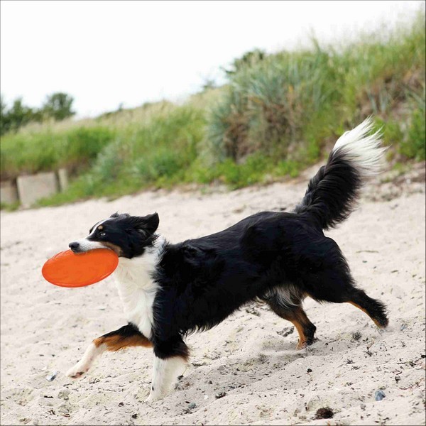 Dog Disc TPR Flottant Pour Chien Trixie