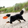 Dog Disc TPR Flottant Pour Chien Trixie