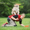 Dog Disc Pour Chien Trixie