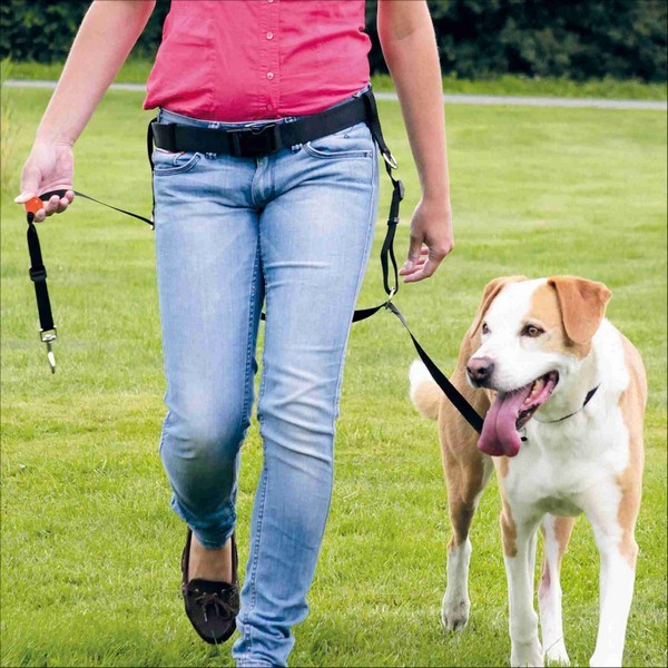 Harnais De Dressage Lead'n'Walk Guide Pour Chien Trixie