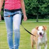 Harnais De Dressage Lead'n'Walk Guide Pour Chien Trixie