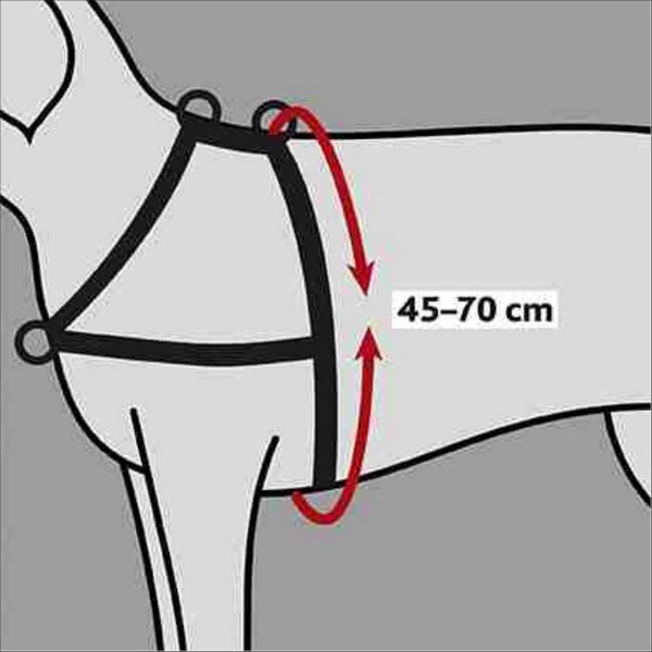 Harnais De Dressage Lead'n'Walk Soft Pour Chien Trixie
