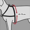 Harnais De Dressage Lead'n'Walk Soft Pour Chien Trixie
