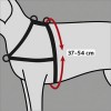 Harnais De Dressage Lead'n'Walk Soft Pour Chien Trixie