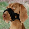Muselière Sangle Pour Chien Trixie