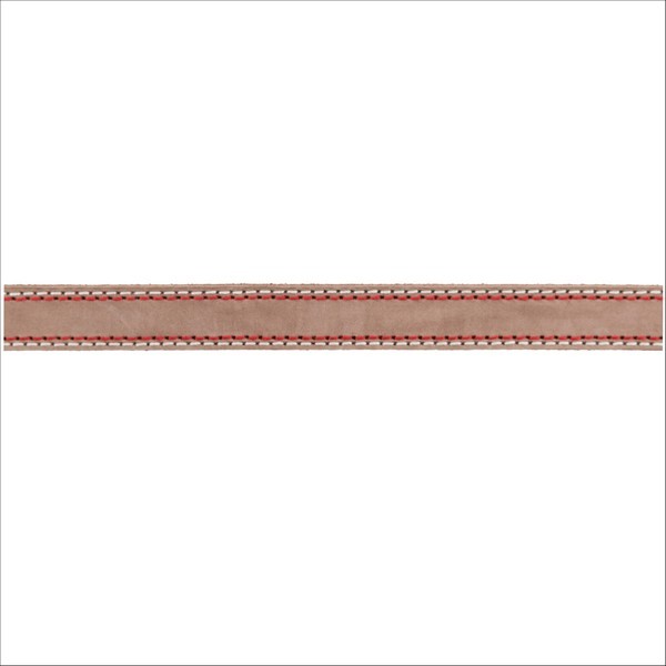 Laisse En Cuir Pour Chien Native Trixie