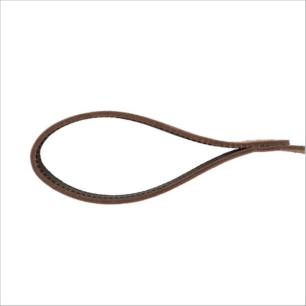 Laisse En Cuir Pour Chien Native Trixie