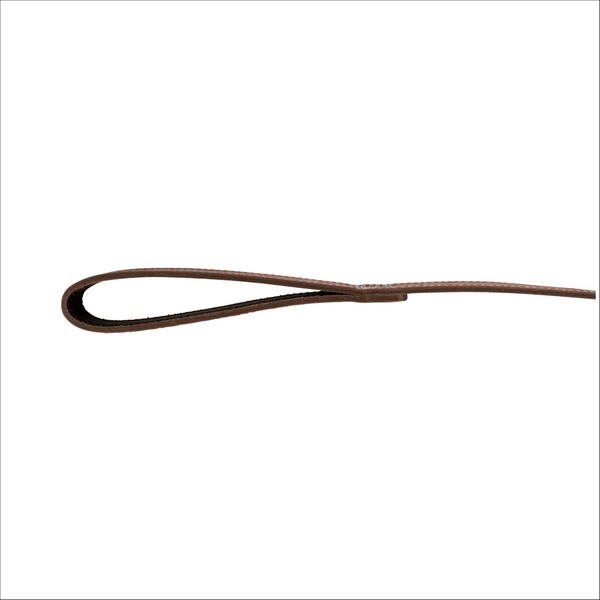 Laisse En Cuir Pour Chien Native Trixie